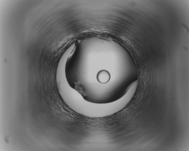 X0000102791110200809151119