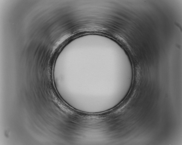 X0000102791114200809151119