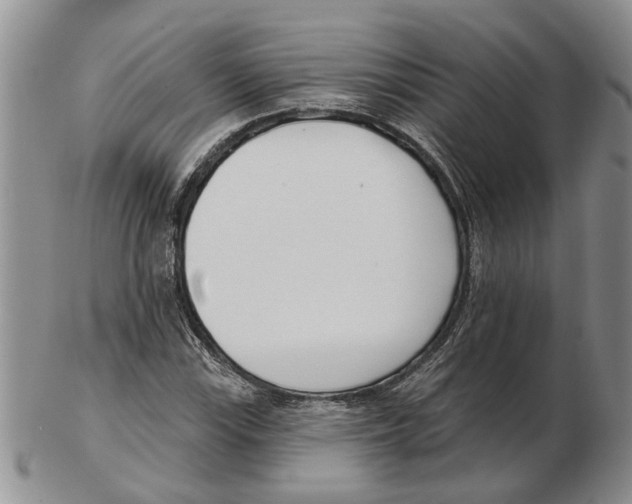 X0000102791115200809151119