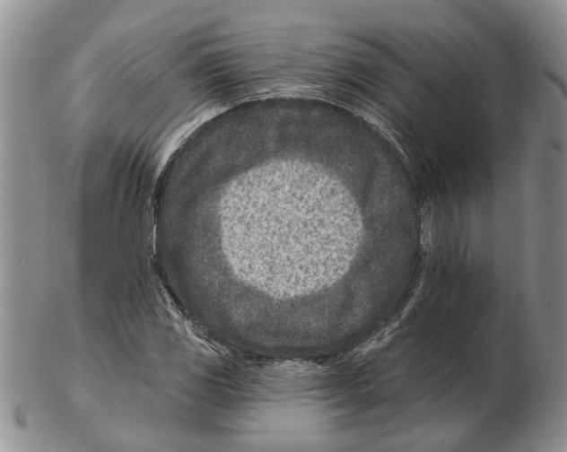 X0000102791117200809151119