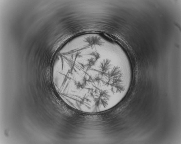 X0000102791121200809151119