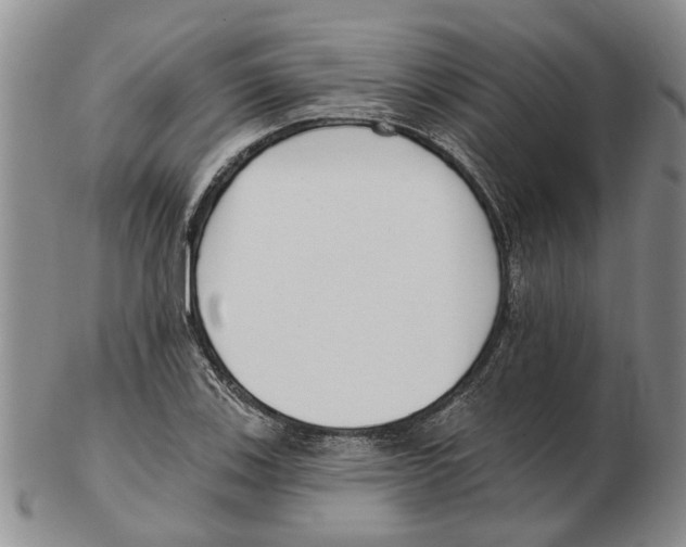 X0000102791123200809151119