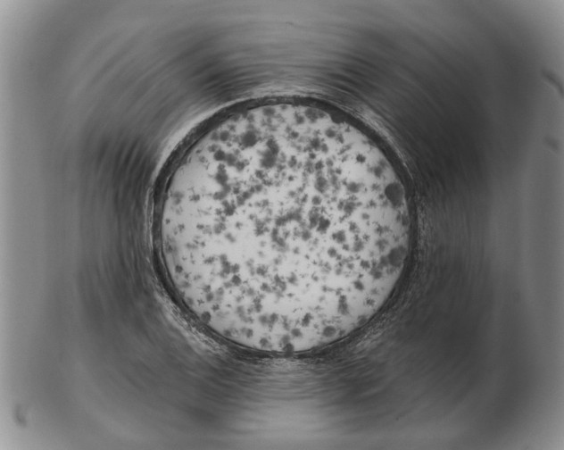 X0000102791124200809151119