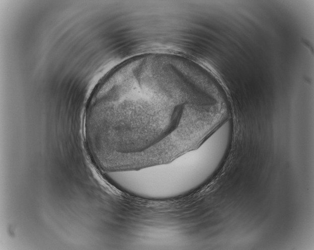 X0000102791128200809151119