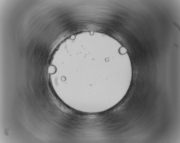 X0000102791130200809151119