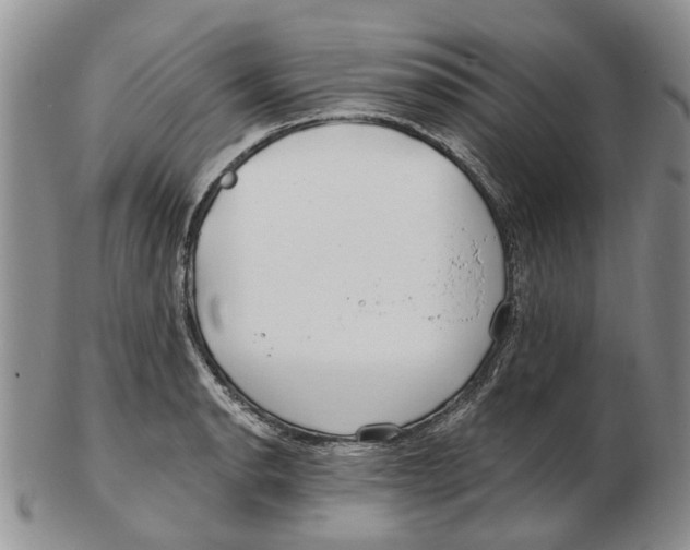 X0000102791134200809151119