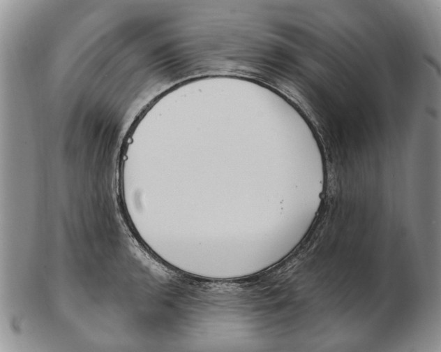 X0000102791136200809151119