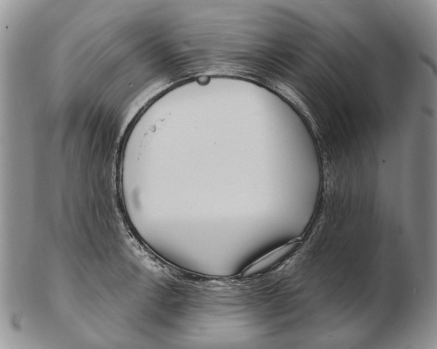 X0000102791138200809151119