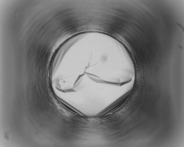 X0000102791144200809151119