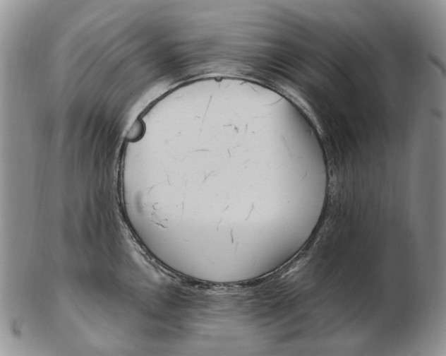 X0000102791146200809151119