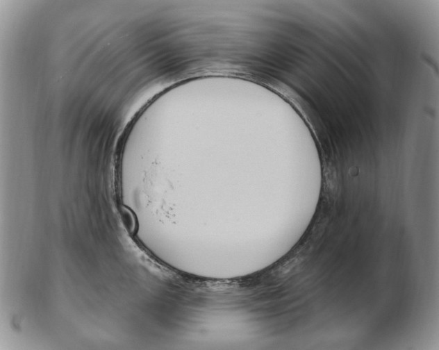 X0000102791147200809151119