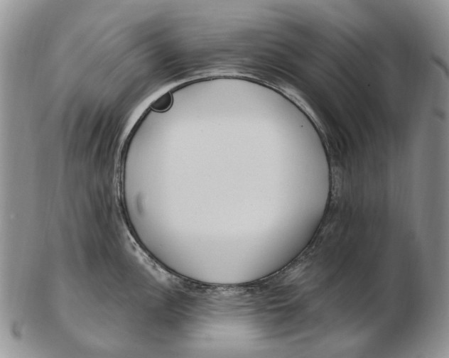 X0000102791148200809151119