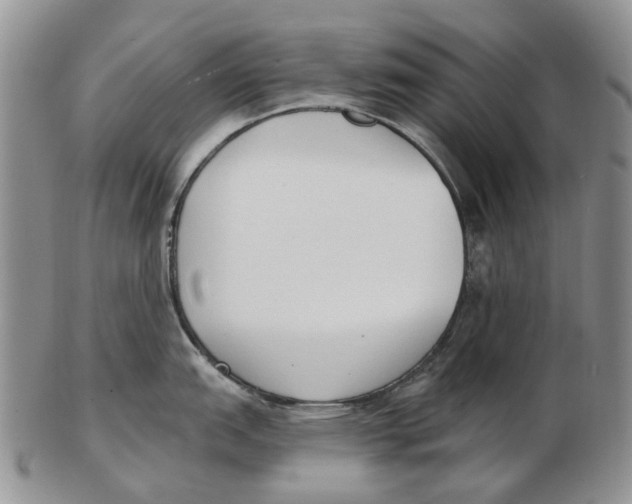 X0000102791151200809151119