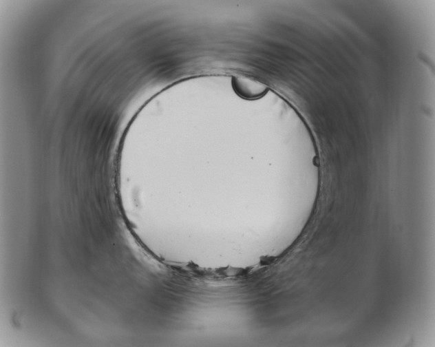 X0000102791152200809151119