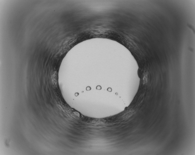 X0000102791156200809151118