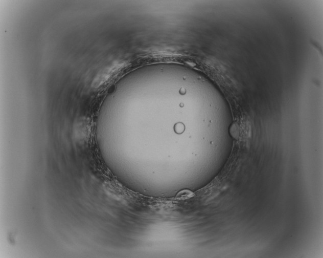 X0000102791157200809151118