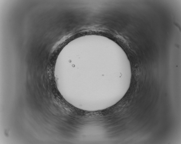 X0000102791159200809151118