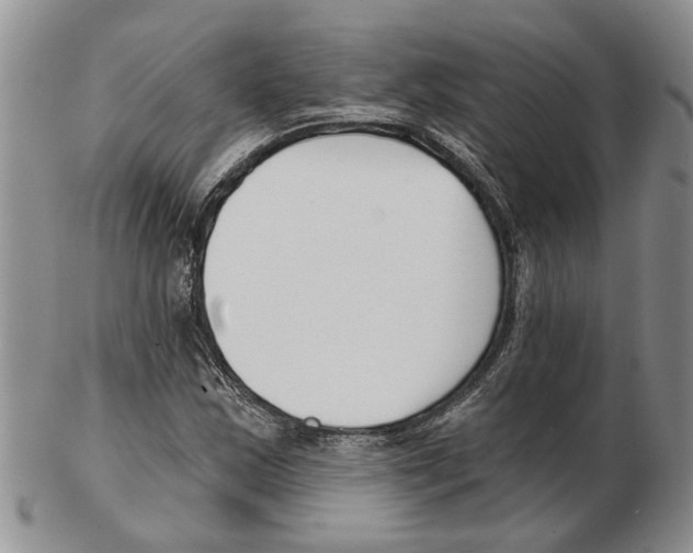 X0000102791163200809151118