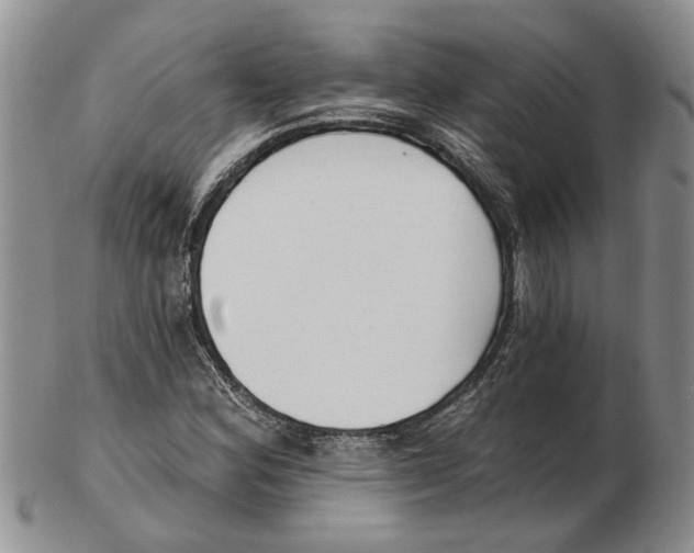 X0000102791164200809151118