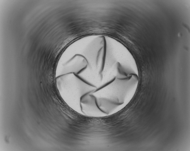 X0000102791170200809151118