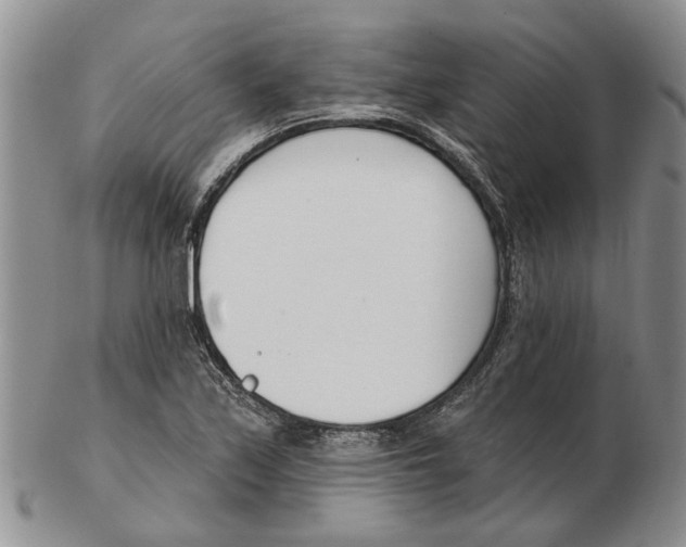 X0000102791171200809151118