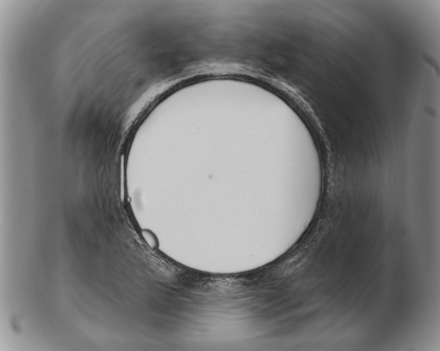 X0000102791175200809151118