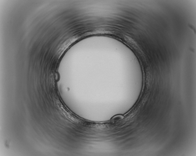 X0000102791177200809151118