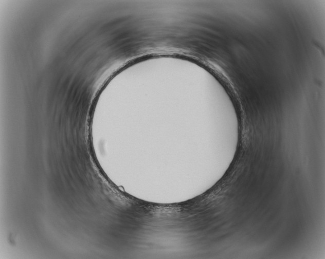 X0000102791183200809151118