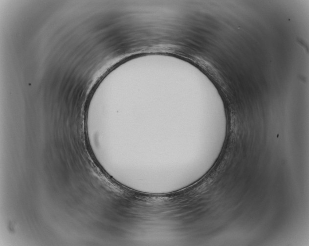 X0000102791184200809151118