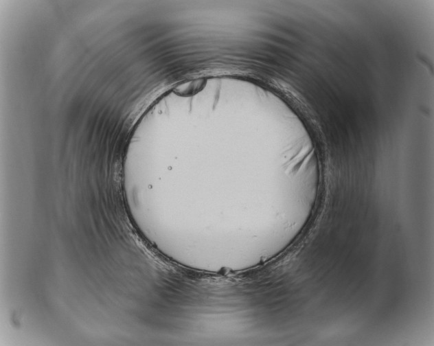 X0000102791185200809151118