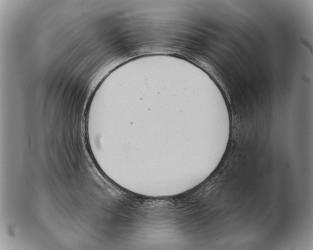 X0000102791187200809151118