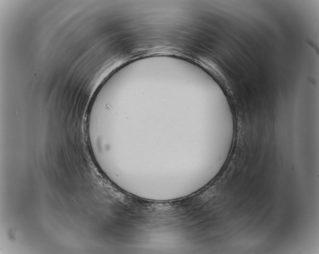 X0000102791190200809151118