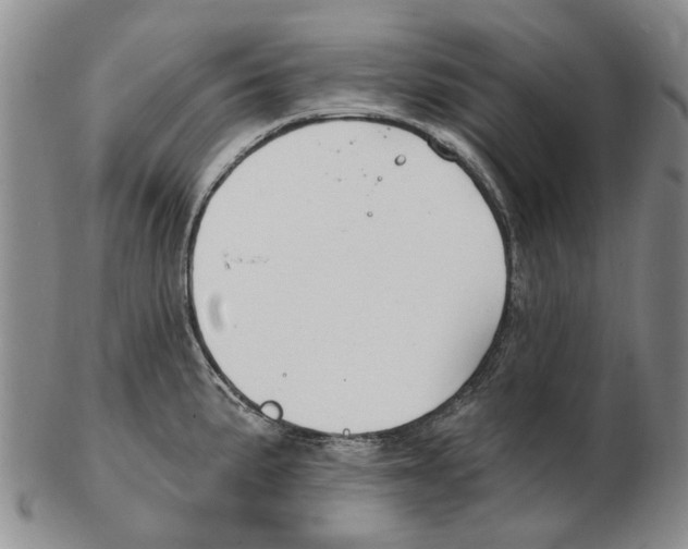 X0000102791191200809151118