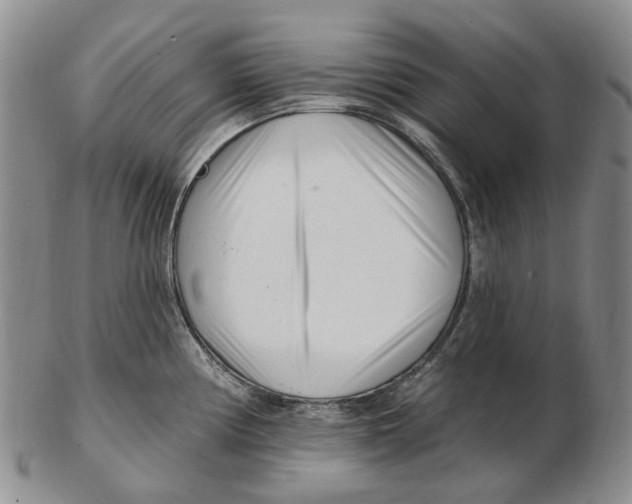 X0000102791194200809151118