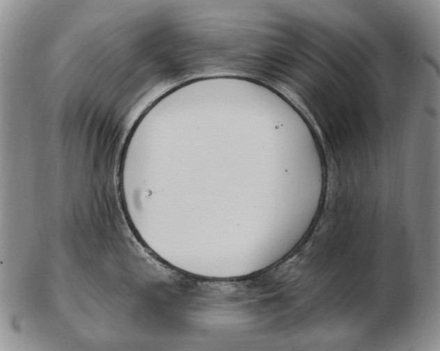 X0000102791197200809151118