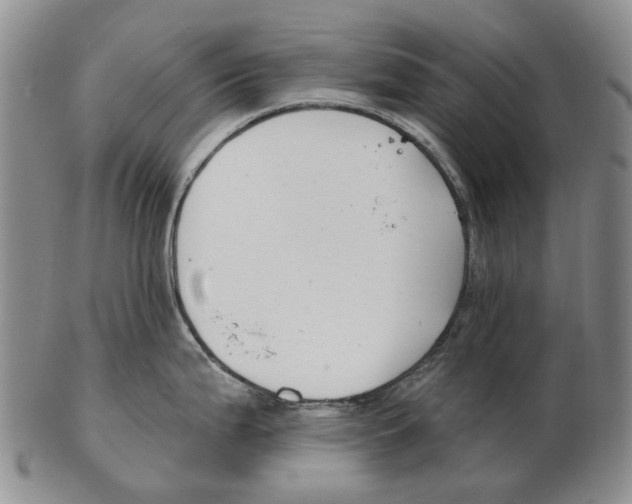 X0000102791199200809151118