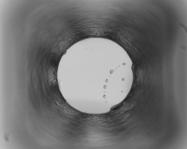 X0000102791202200809151117