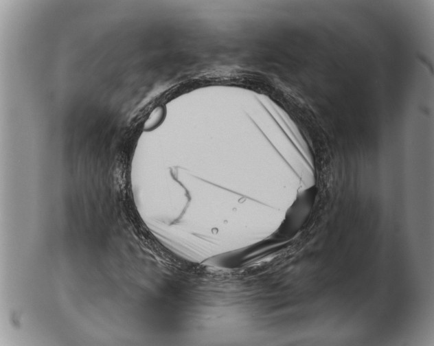 X0000102791206200809151117