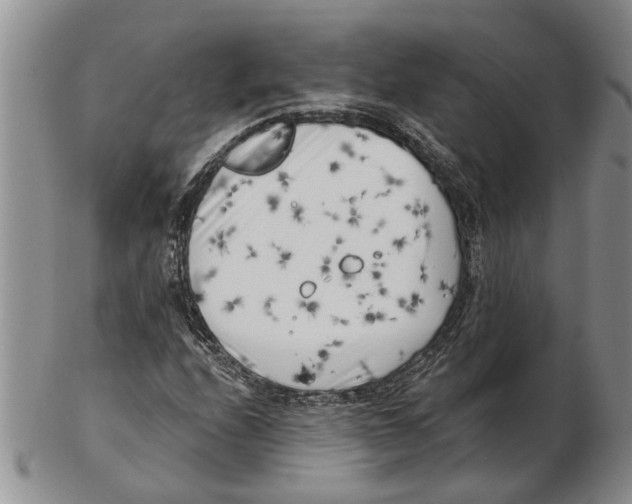 X0000102791208200809151117