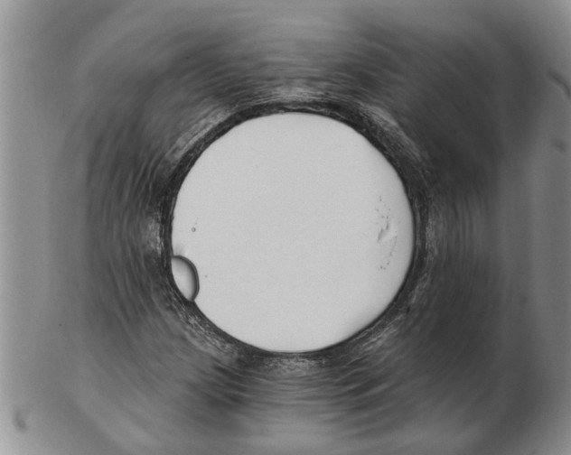 X0000102791209200809151117