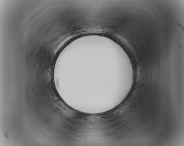 X0000102791212200809151117