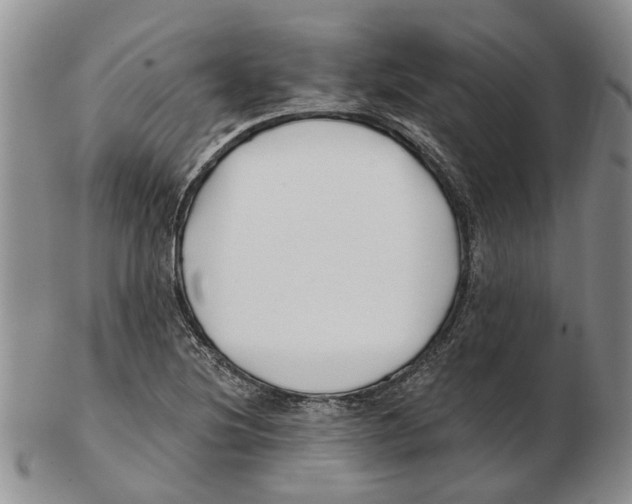 X0000102791220200809151117