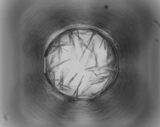 X0000102791223200809151117