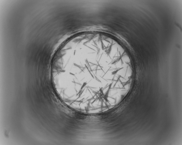 X0000102791224200809151117