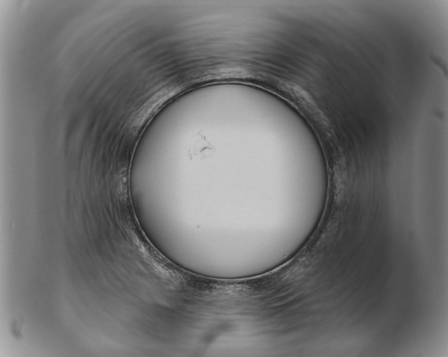 X0000102791225200809151117