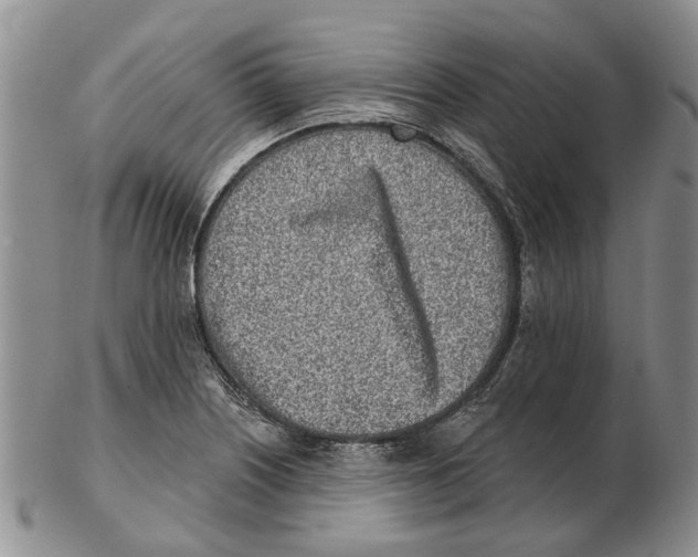 X0000102791226200809151117