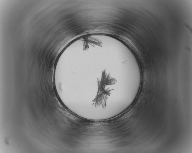 X0000102791228200809151118