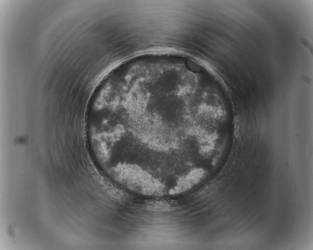 X0000102791229200809151118