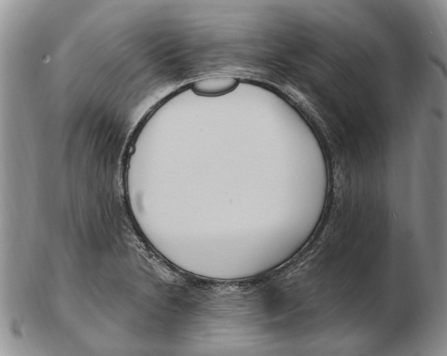 X0000102791230200809151118