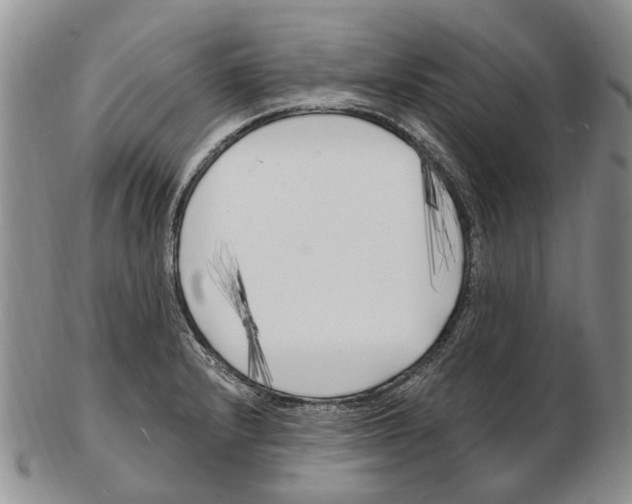 X0000102791232200809151118